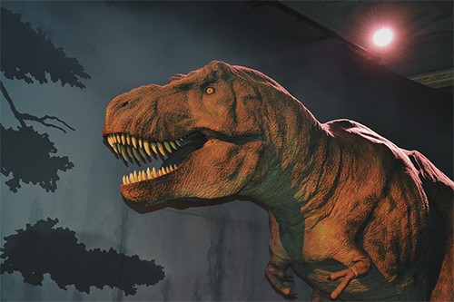 Por que se extinguieron los dinosaurios